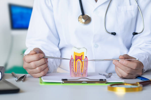 Best Emergency Treatment for Dental Infections or Abscesses in Milwaukie, OR